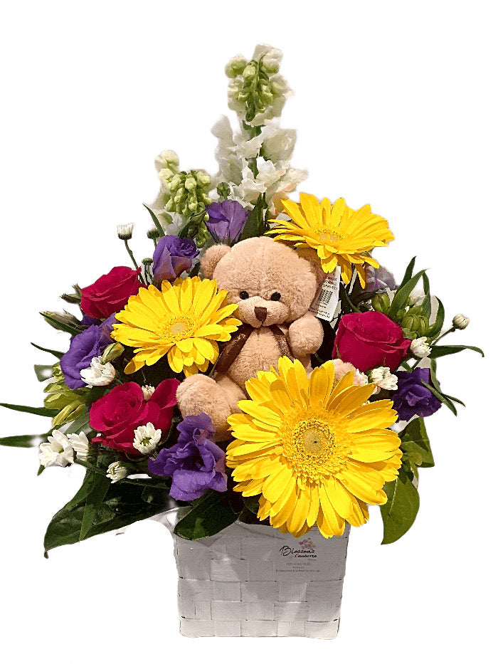 Peekaboo Teddy Blossoms