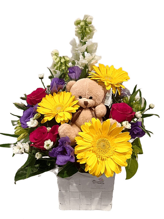 Peekaboo Teddy Blossoms