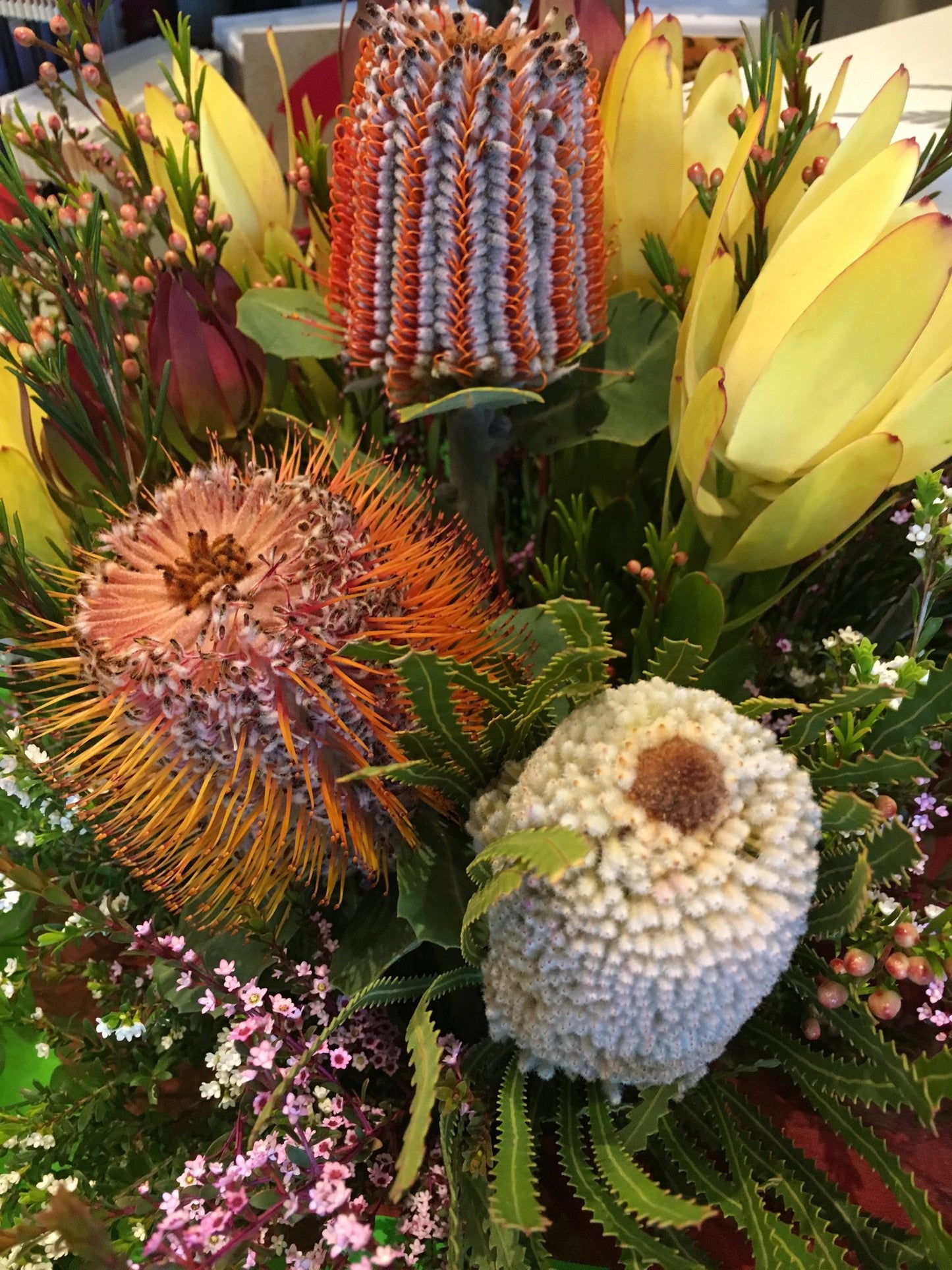 Australian Native Blossoms