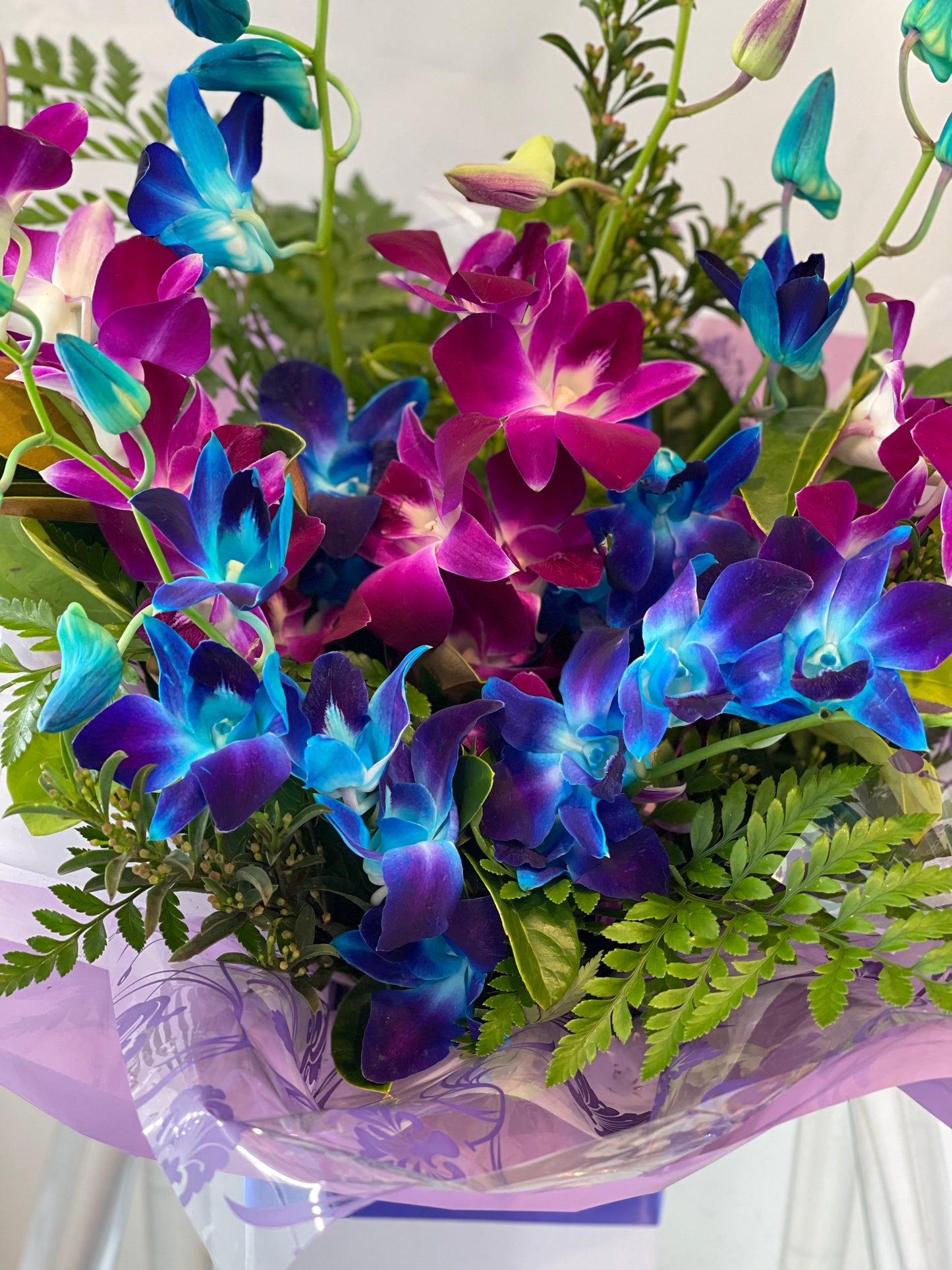 Just Orchids