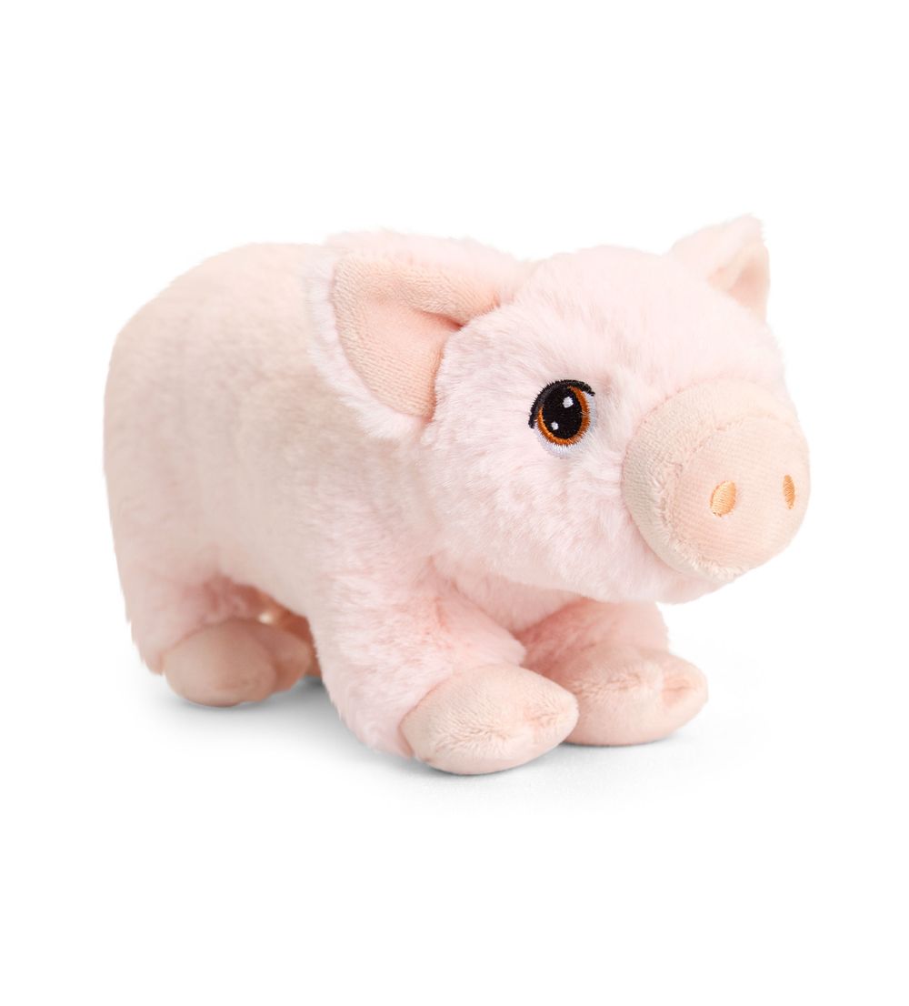 Pig
