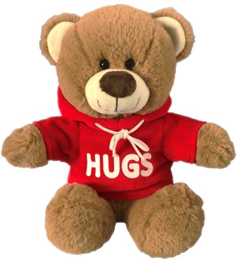Hugs Hoodie Bear