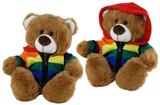 Rainbow Hoodie Bear