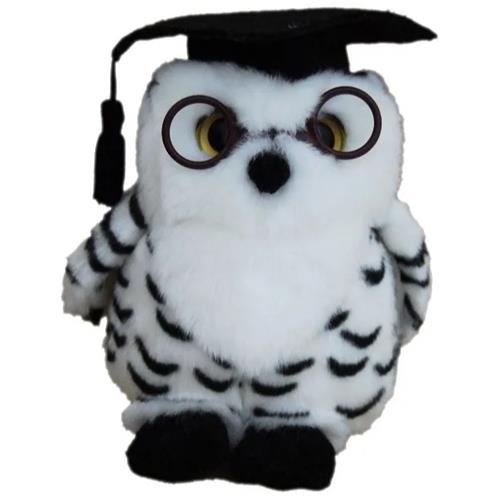 Graduation Spotted Owl