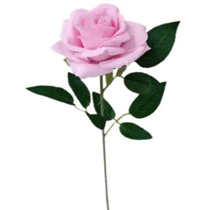 Toy Pink Rose