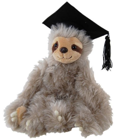 Graduation Sloth