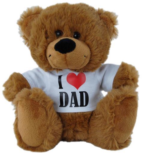 'I Love Dad' Bear
